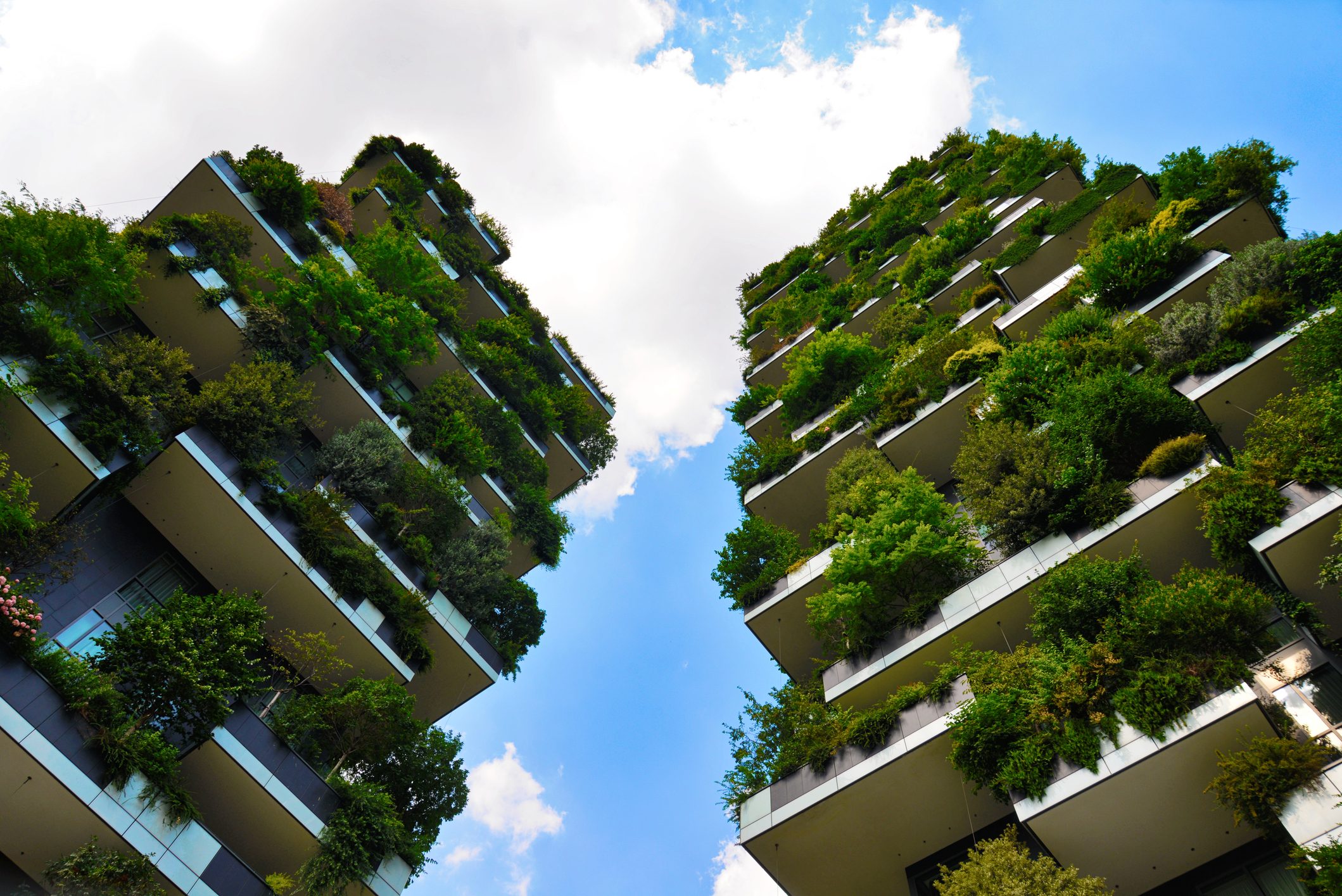 bosco-verticale-milano-stefano-boeri-pro-contro-come-funziona-verde-urban-city