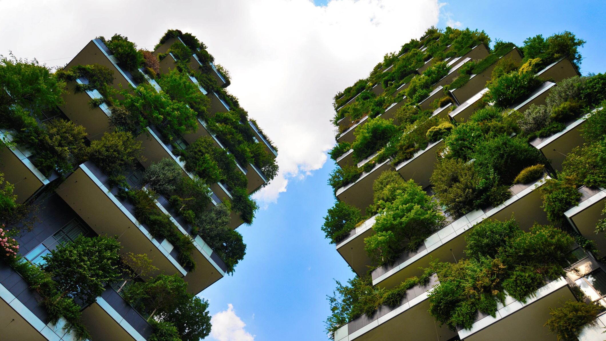 bosco-verticale-milano-stefano-boeri-pro-contro-come-funziona-verde-urban-city