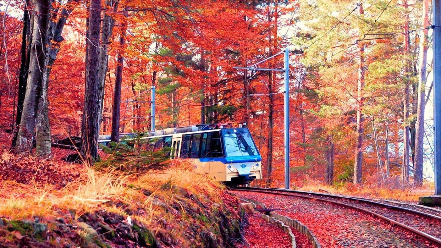 treno del foliage