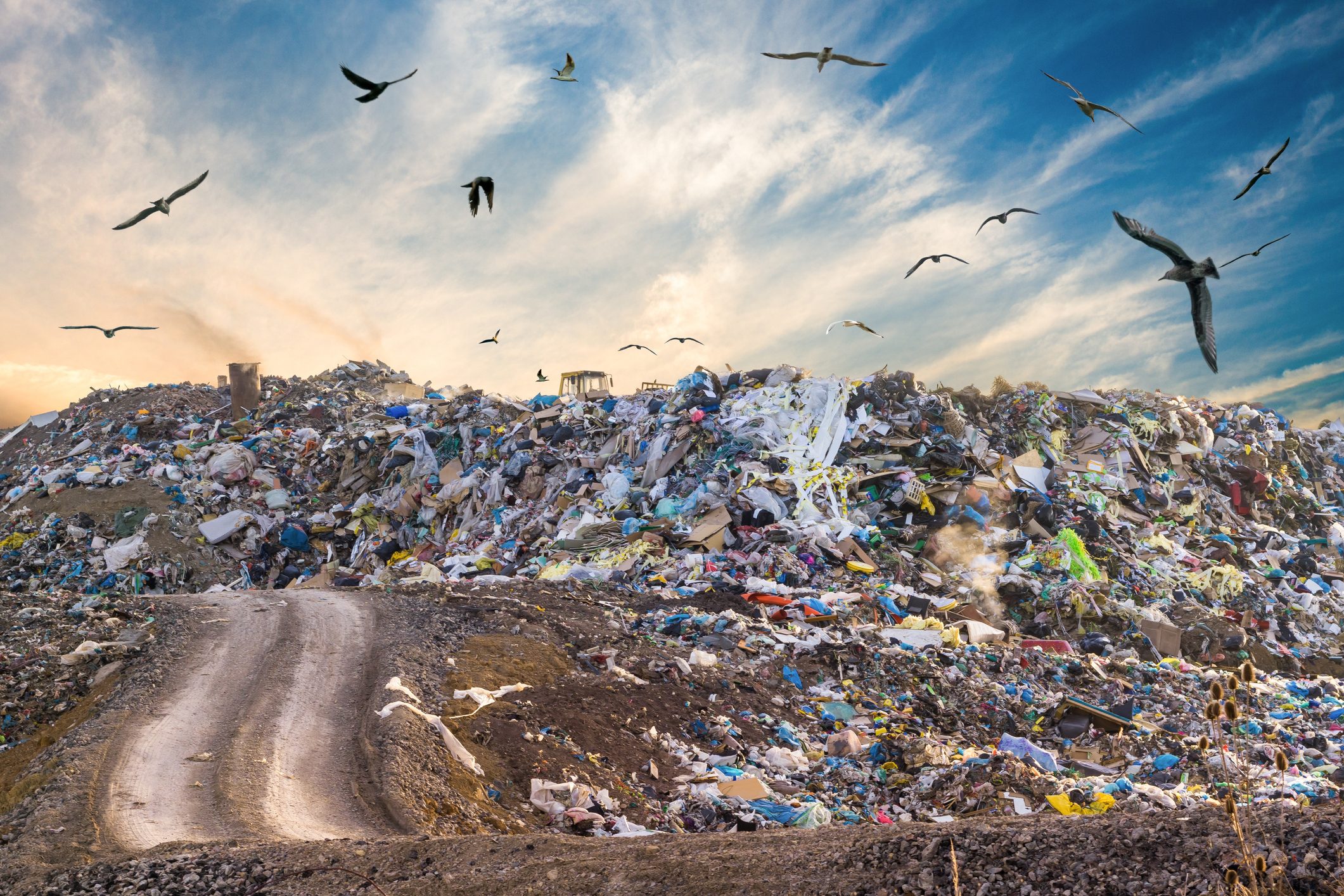 zero-waste-rifiuti-giornata-internazionale-onu-30-marzo-notizia-news-ambiente-economia-circolare-sostenibilità