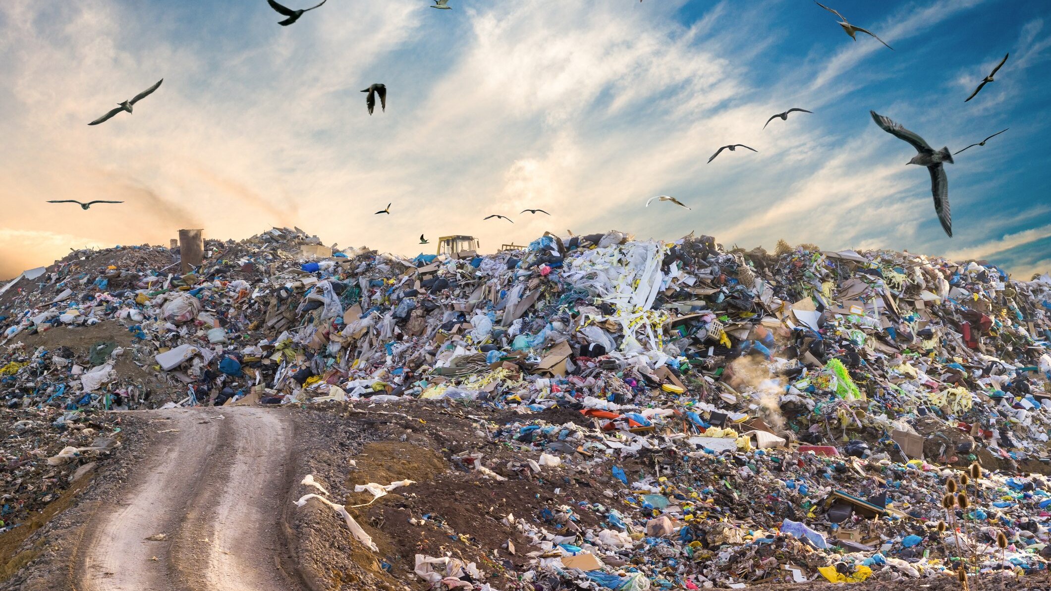 zero-waste-rifiuti-giornata-internazionale-onu-30-marzo-notizia-news-ambiente-economia-circolare-sostenibilità