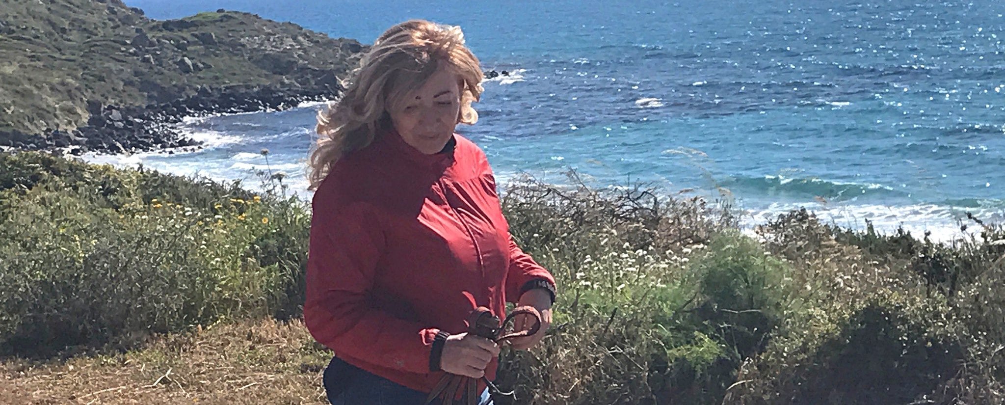 Una vita a salvare vite: Monica Pais, la veterinaria che ha salvato il ...