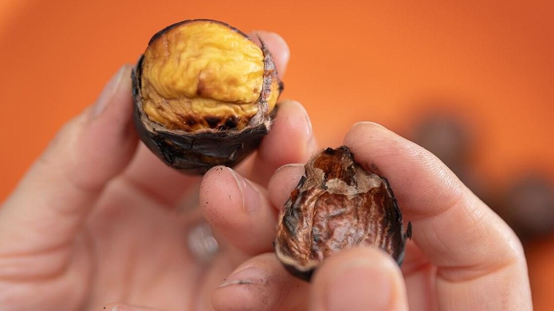 riciclo castagne