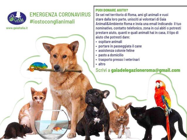 Immagine