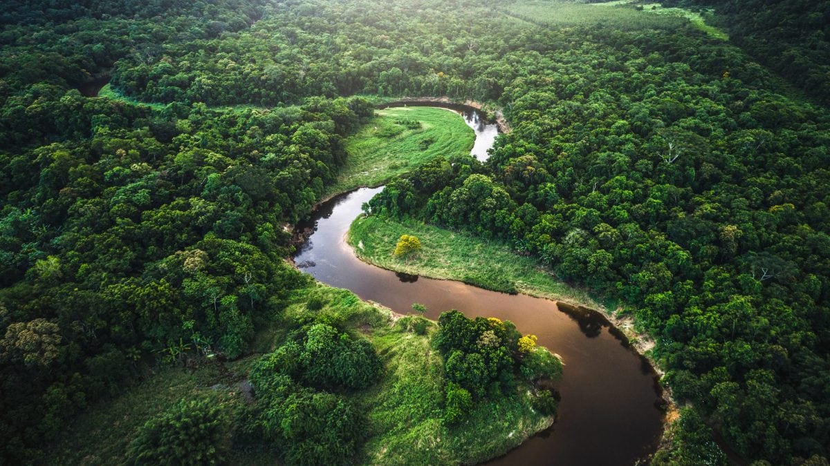 amazzonia-cop30-belem