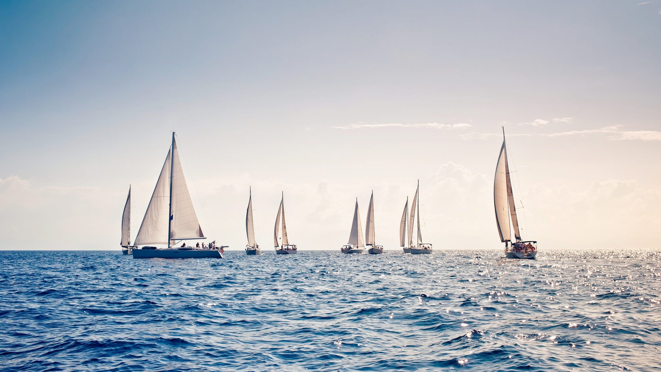 regata centomiglia