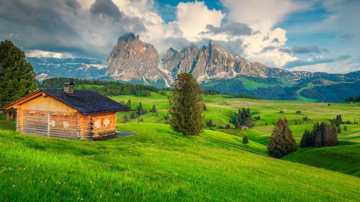 Immagine
