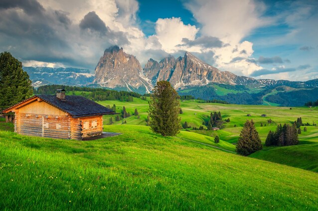 Immagine