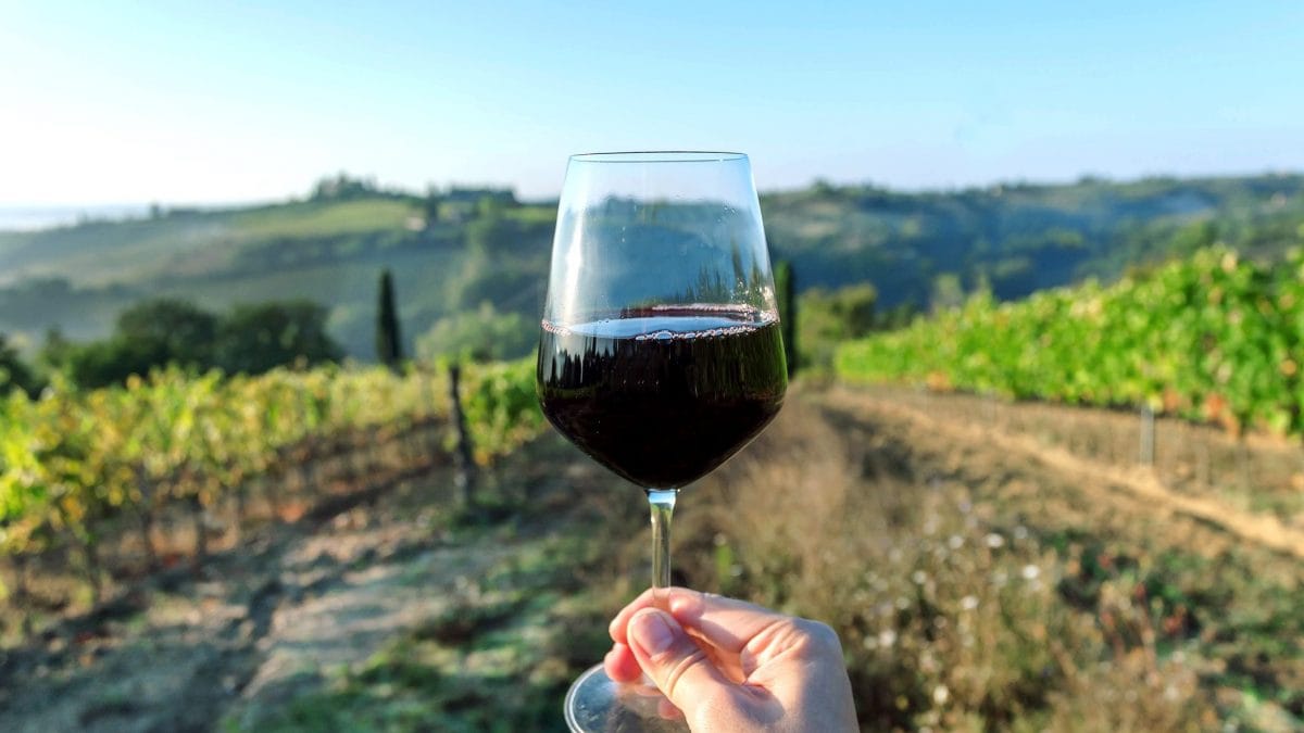 vino-made-in-italy-vinItaly-cambiamenti-climatici-filiera-vino-produzione-econoimia