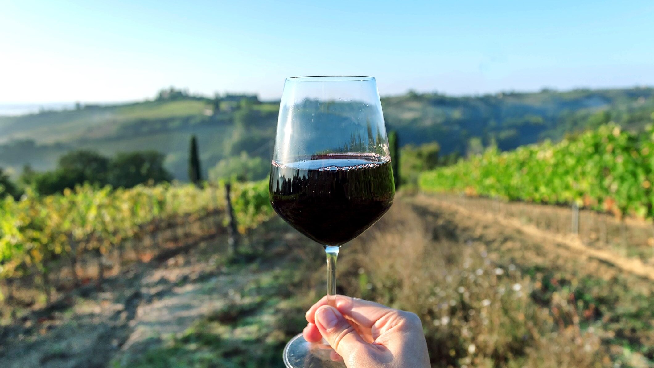 vino-made-in-italy-vinItaly-cambiamenti-climatici-filiera-vino-produzione-econoimia