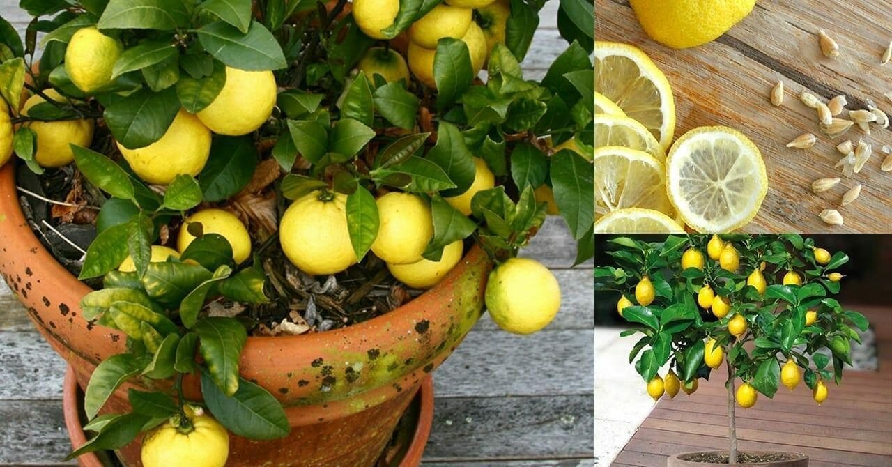 Scatola portachiavi retrò, decorazione per la casa, scatola portachiavi