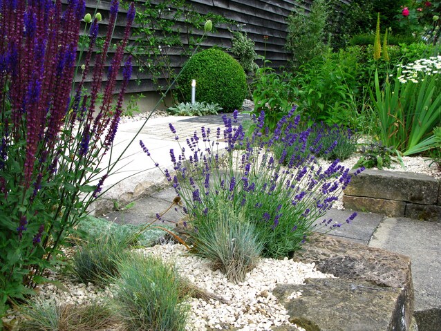 lavanda-fiori-perenni