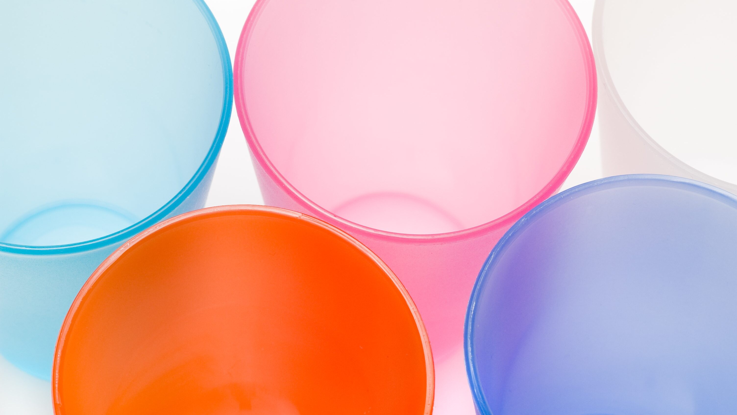 Fiori di plastica con il riciclo creativo