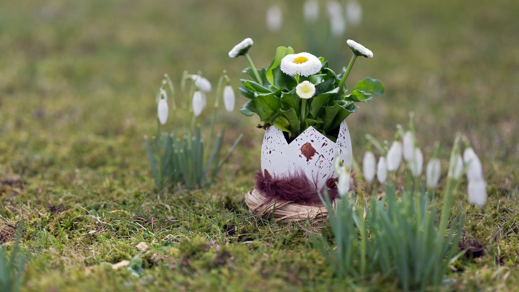 regali pasqua porta piante riciclo