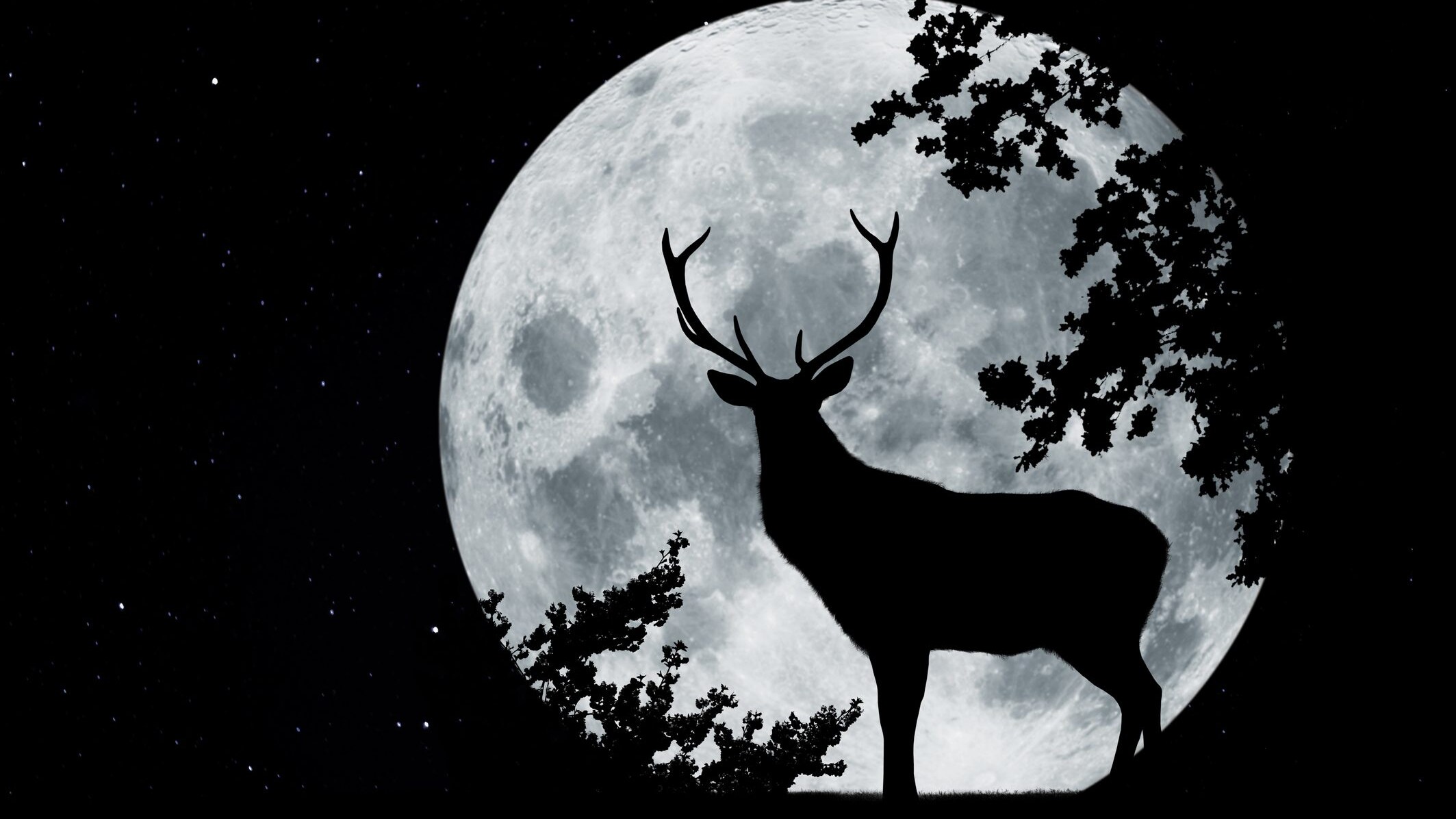 luna-piena-cervo-significato