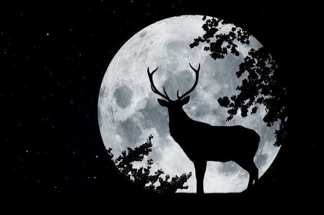 luna-piena-cervo-significato
