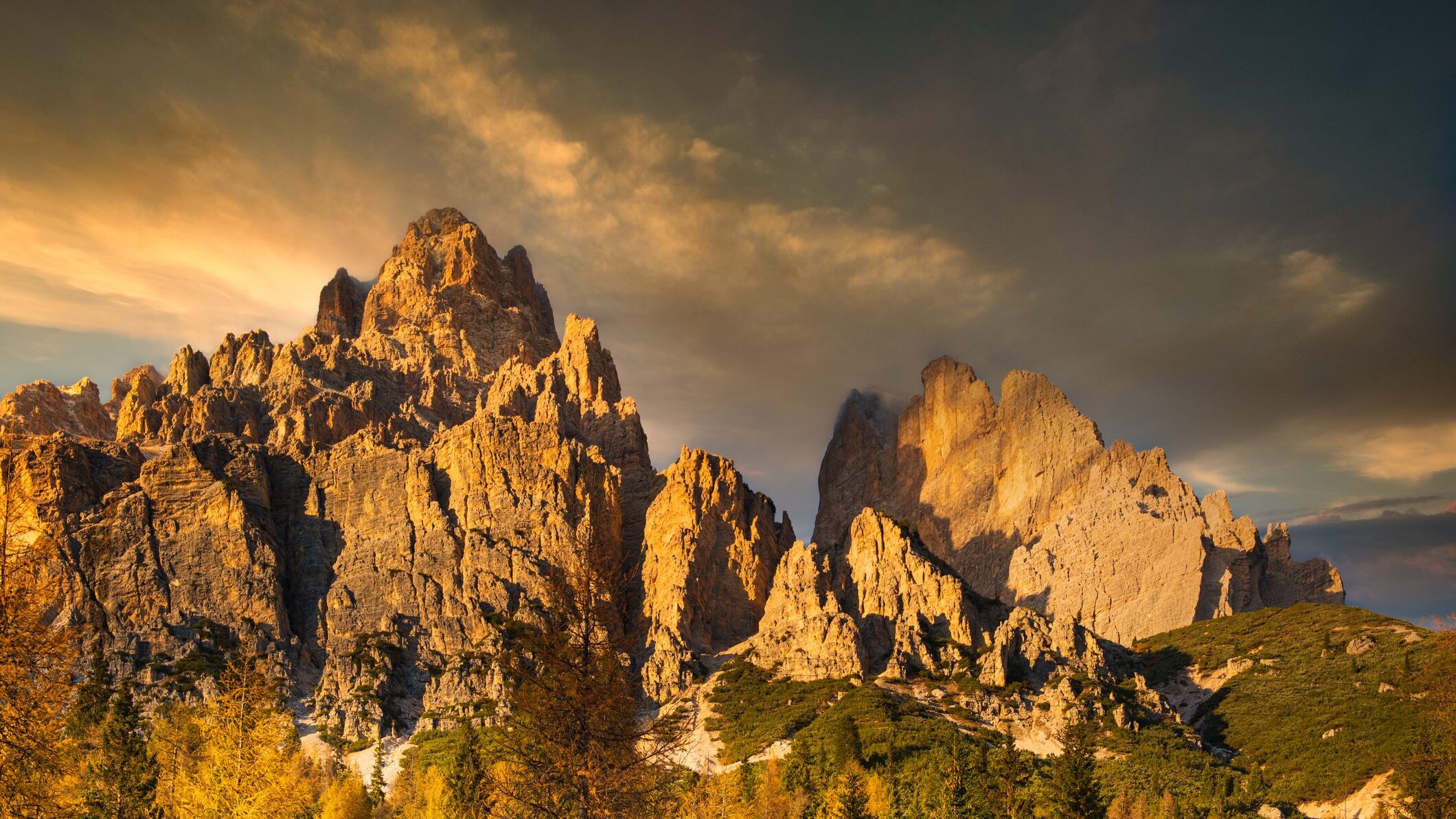 Immagine