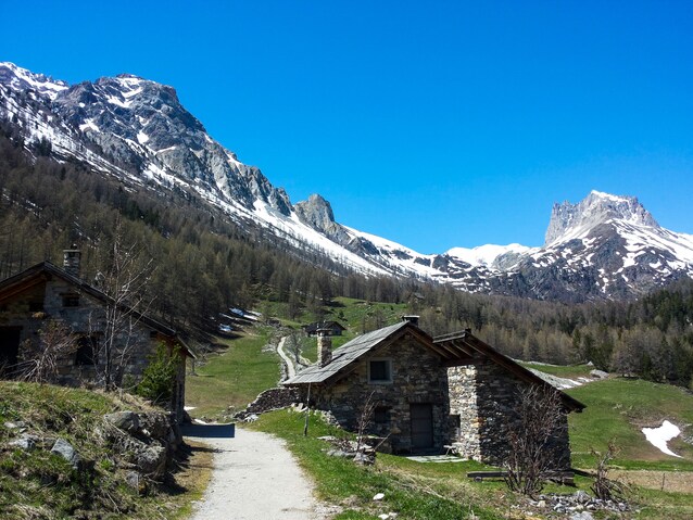 Immagine
