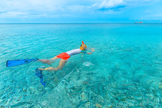 snorkeling-isola-elba