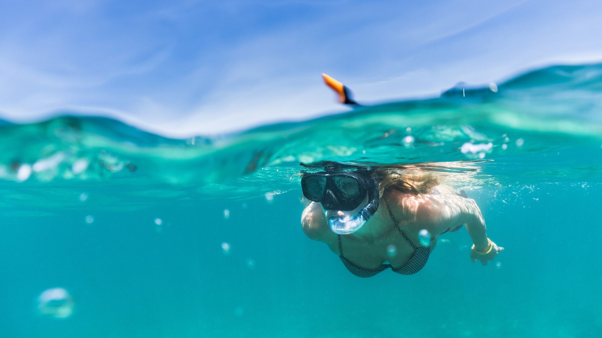 snorkeling-dove-farlo-cover