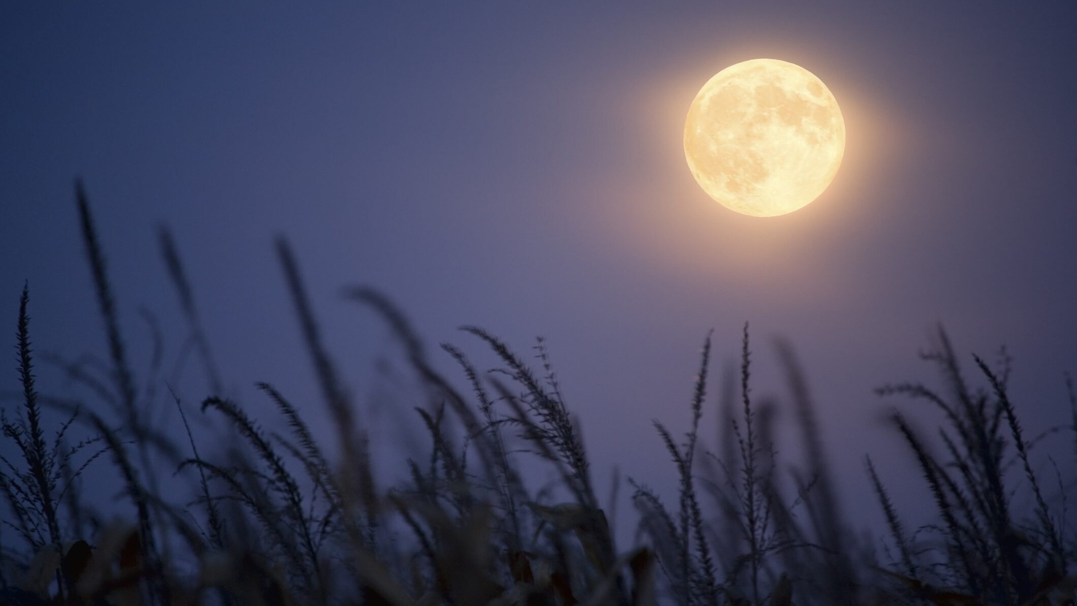 luna-piena-raccolto-settembre-2021