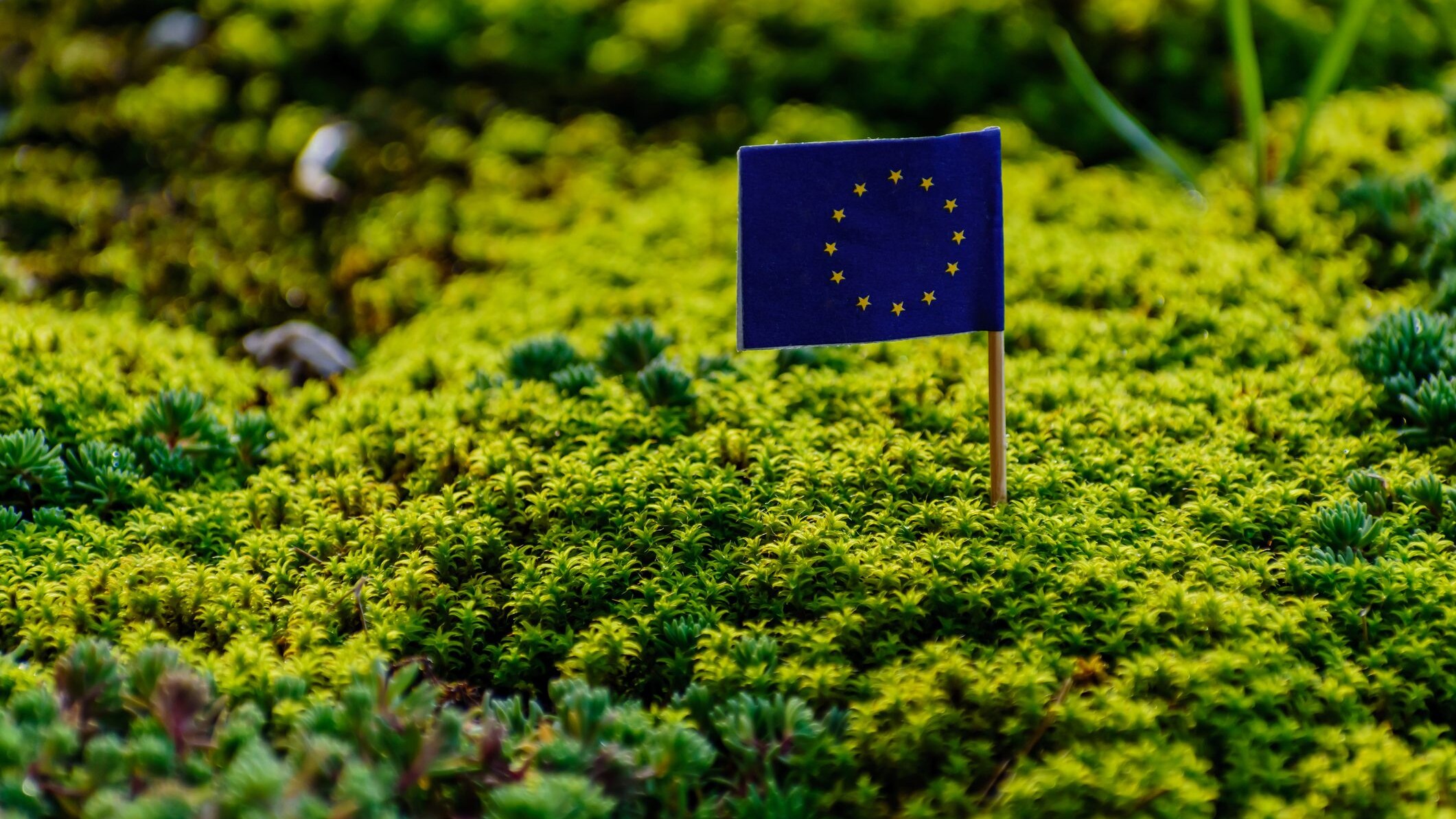 nature-restoration-law-ue-12-luglio-news-green-deal