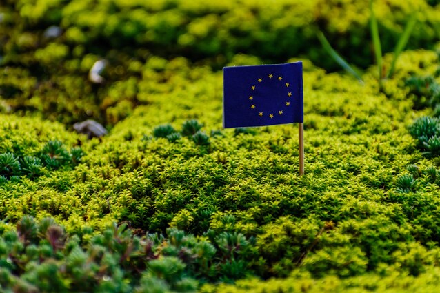 nature-restoration-law-ue-12-luglio-news-green-deal