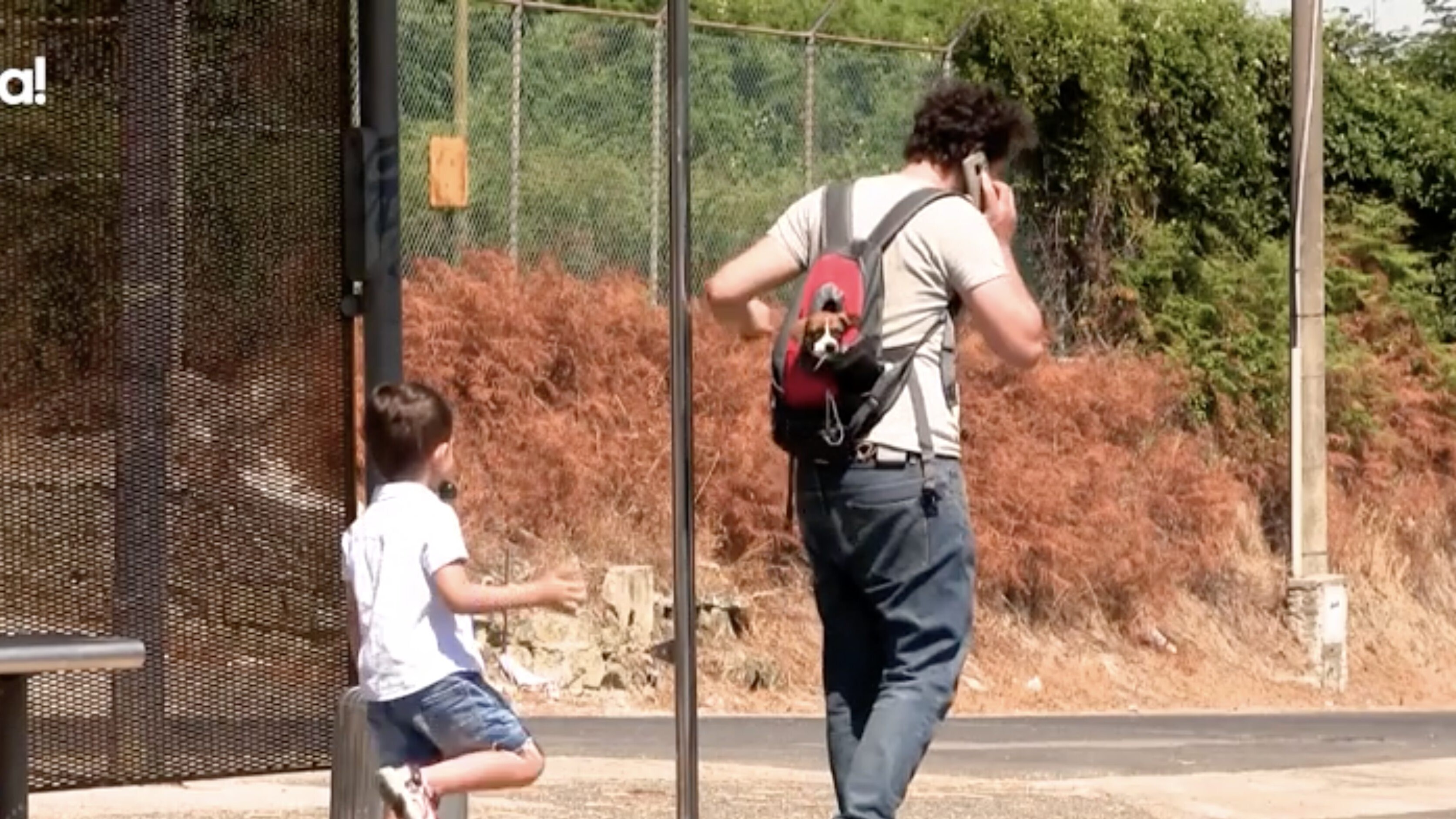 Immagine