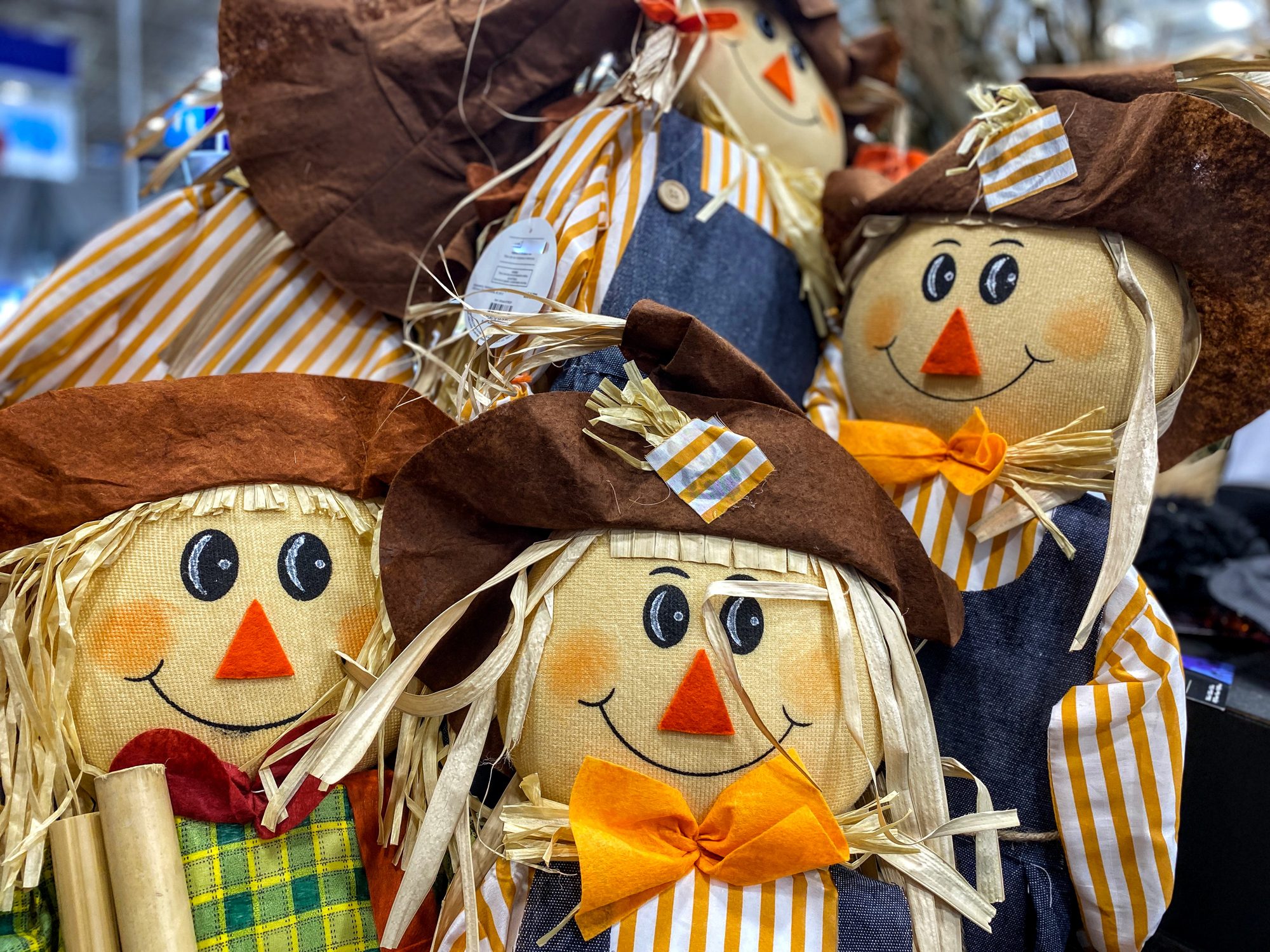 Orto Cappello Spaventapasseri Fai Da Te Spugne Per Coltivazione