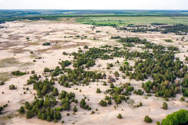 desertificazione-cause