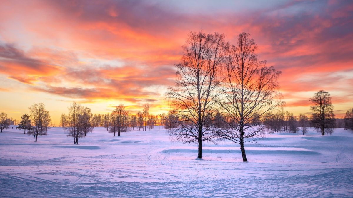 solstizio-inverno-cover