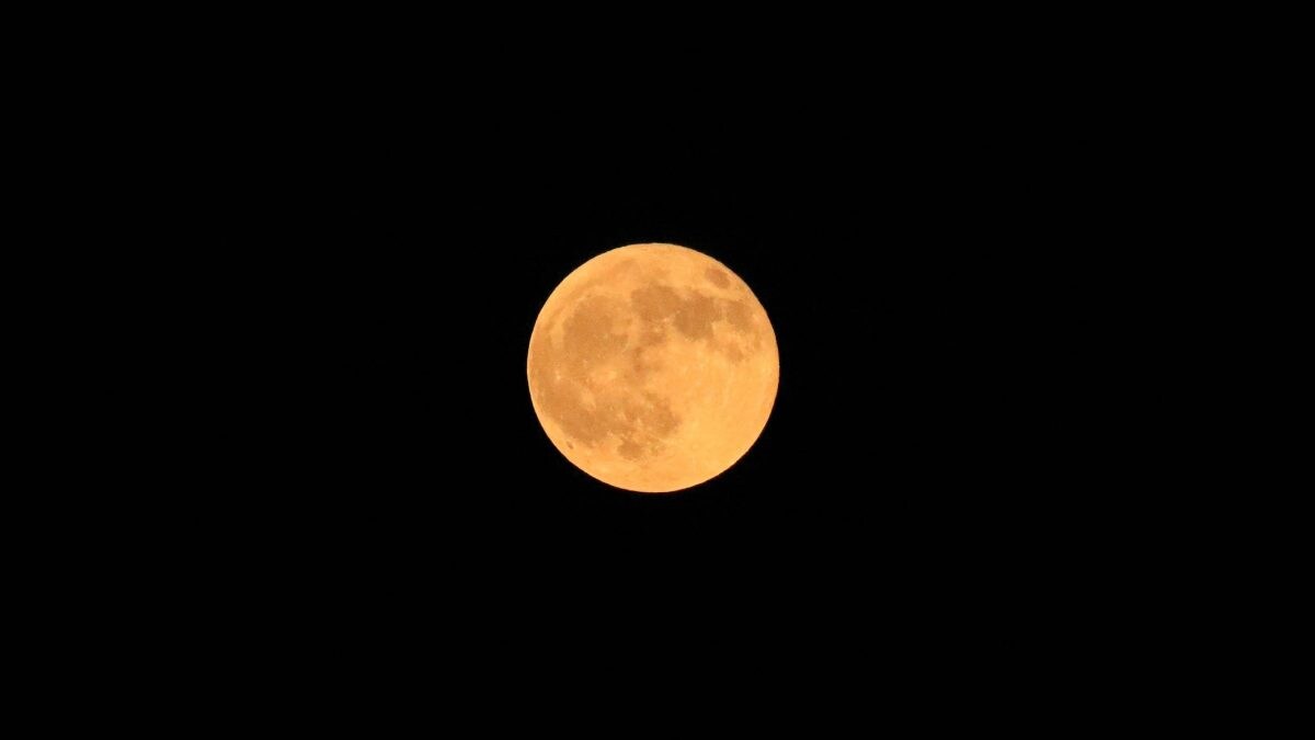 luna-piena-castoro