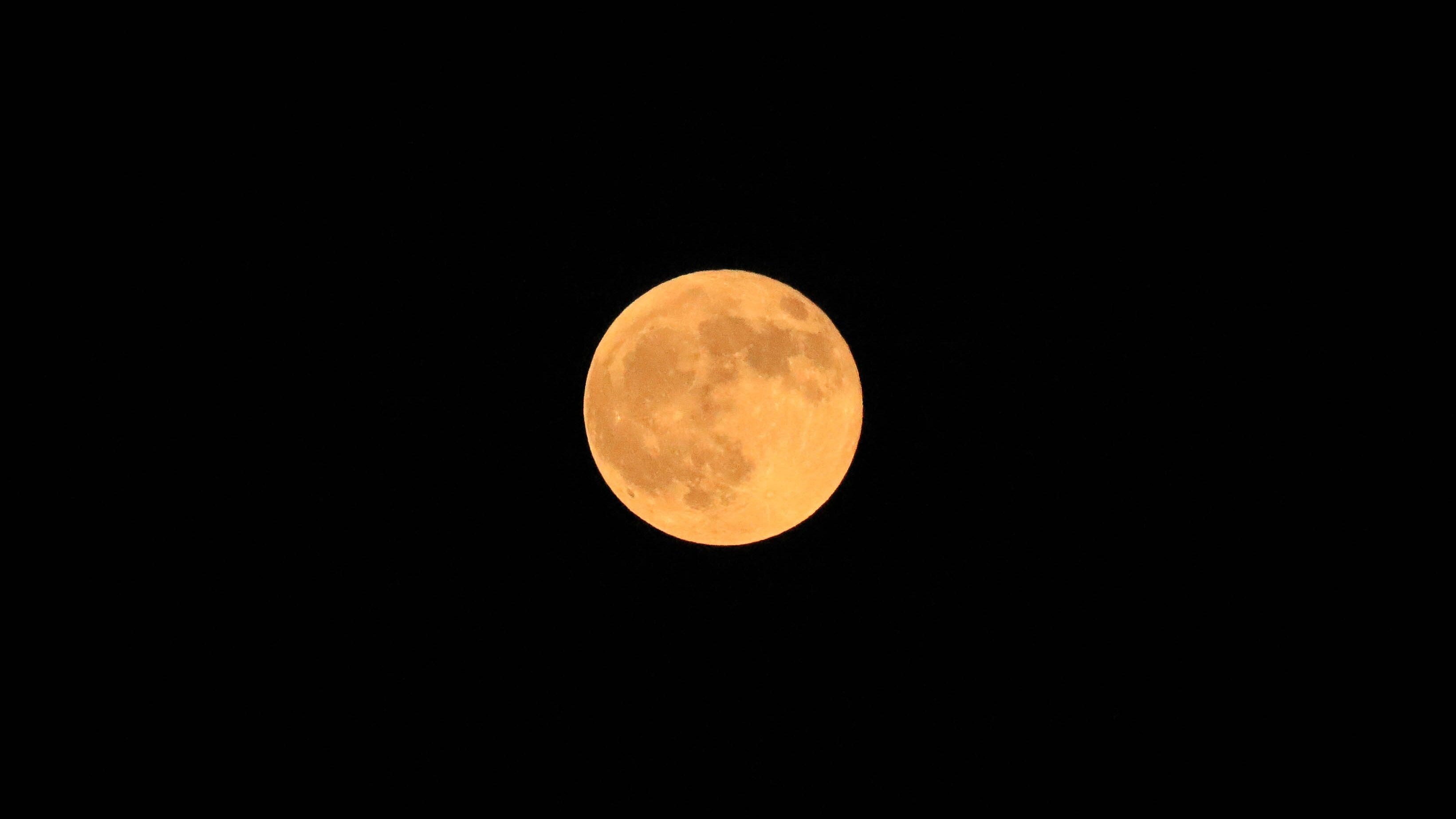 luna-piena-castoro