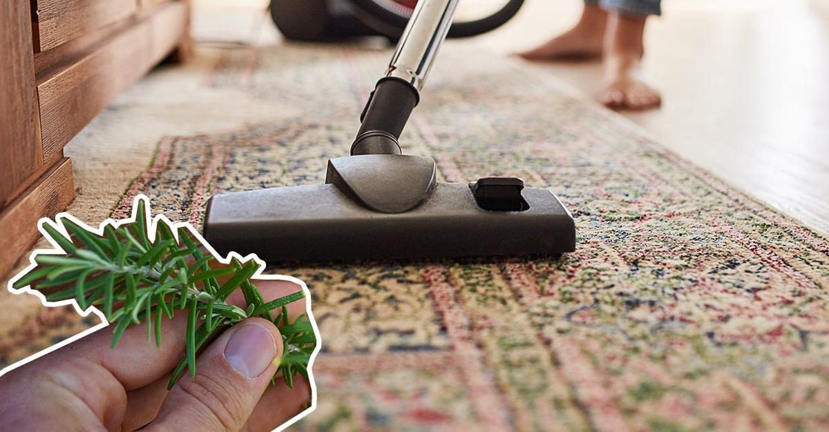 Come far profumare la casa passando l'aspirapolvere | Ohga!