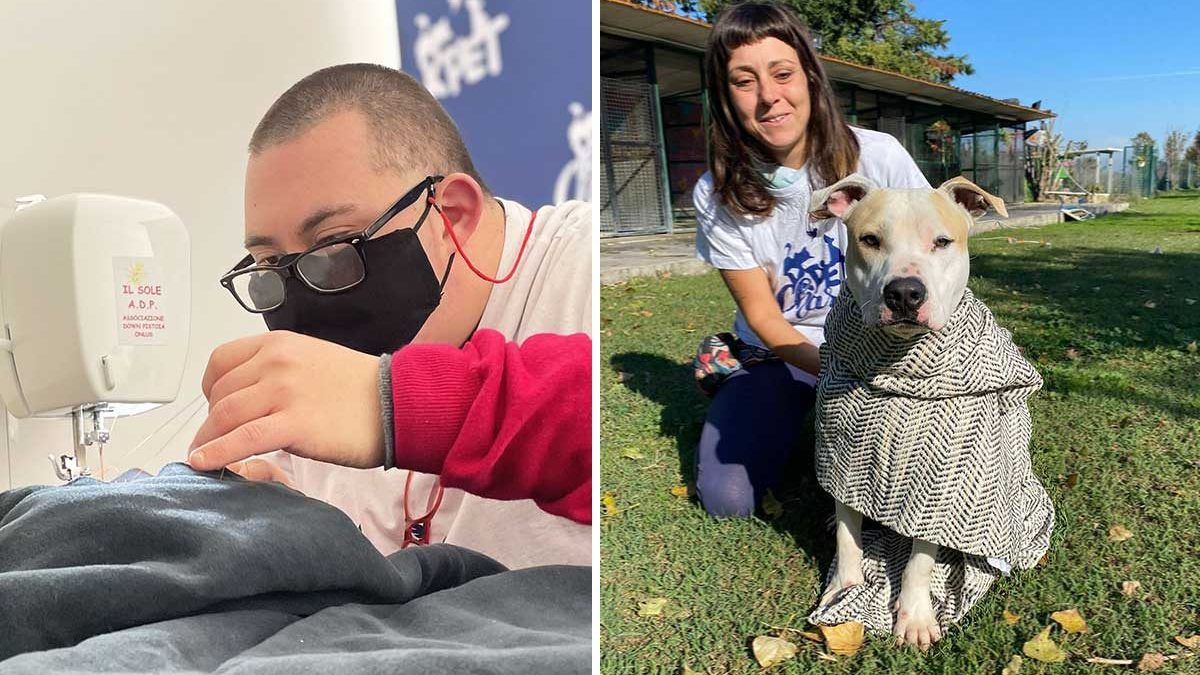 Immagine