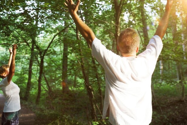 forest bathing
