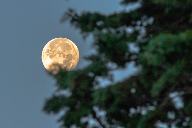 luna-piena-marzo-2022