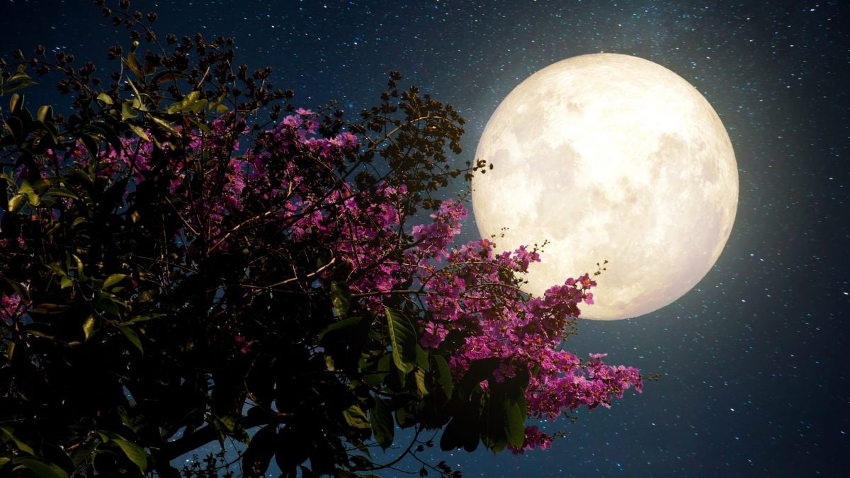 luna-piena-verme-marzo-2022