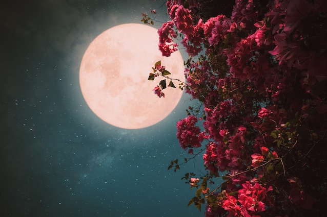luna-piena-rosa-aprile-2022