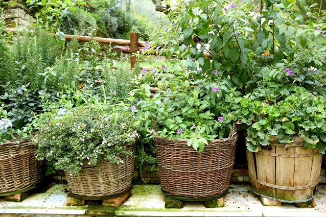 orto giardino