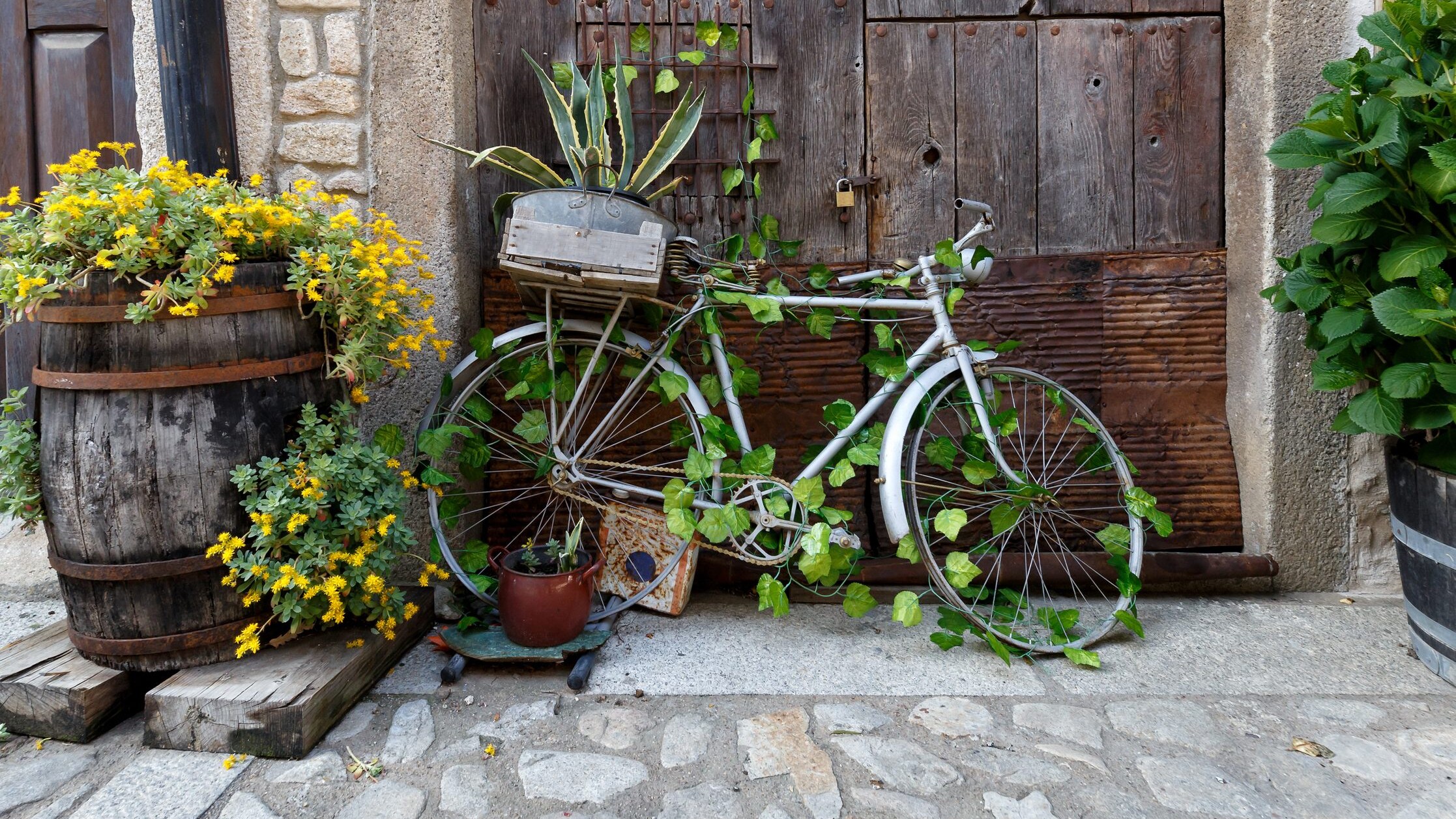 bici giardino