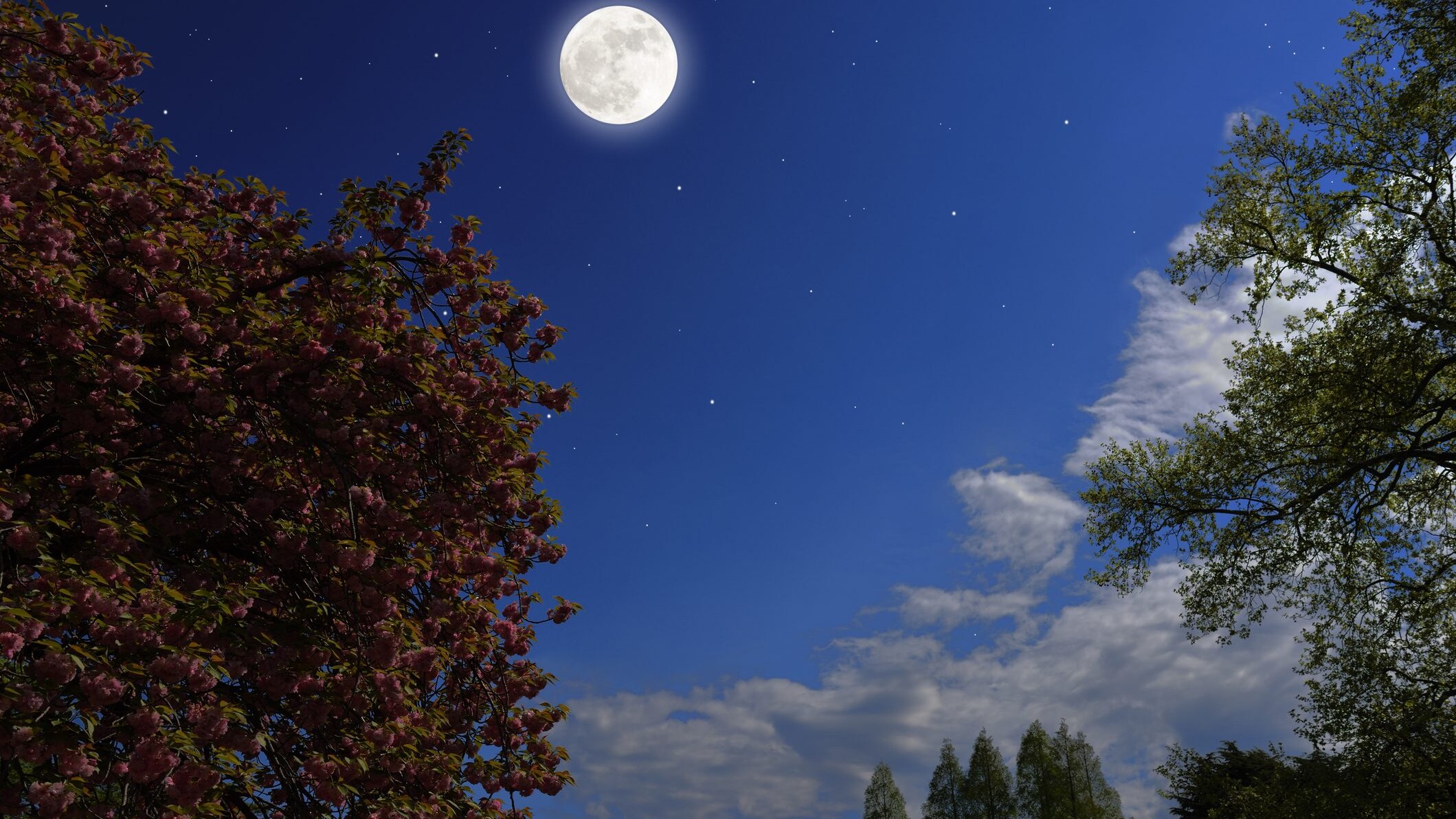 luna-piena-rosa