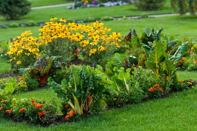 orto giardino