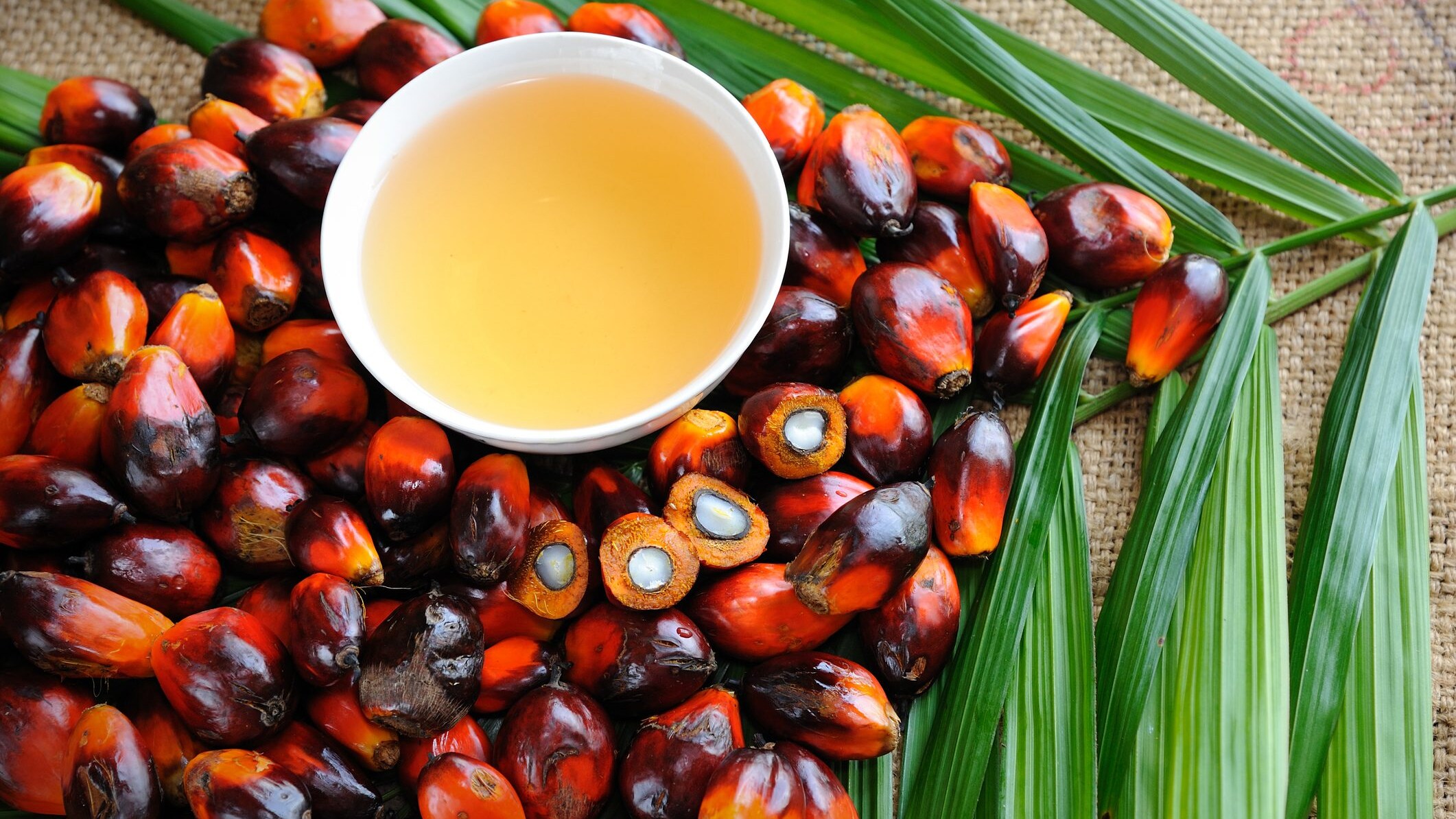 olio-di-palma-indonesia