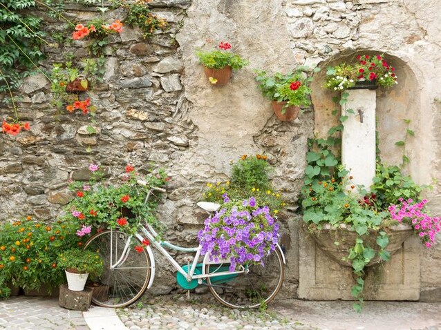 Immagine
