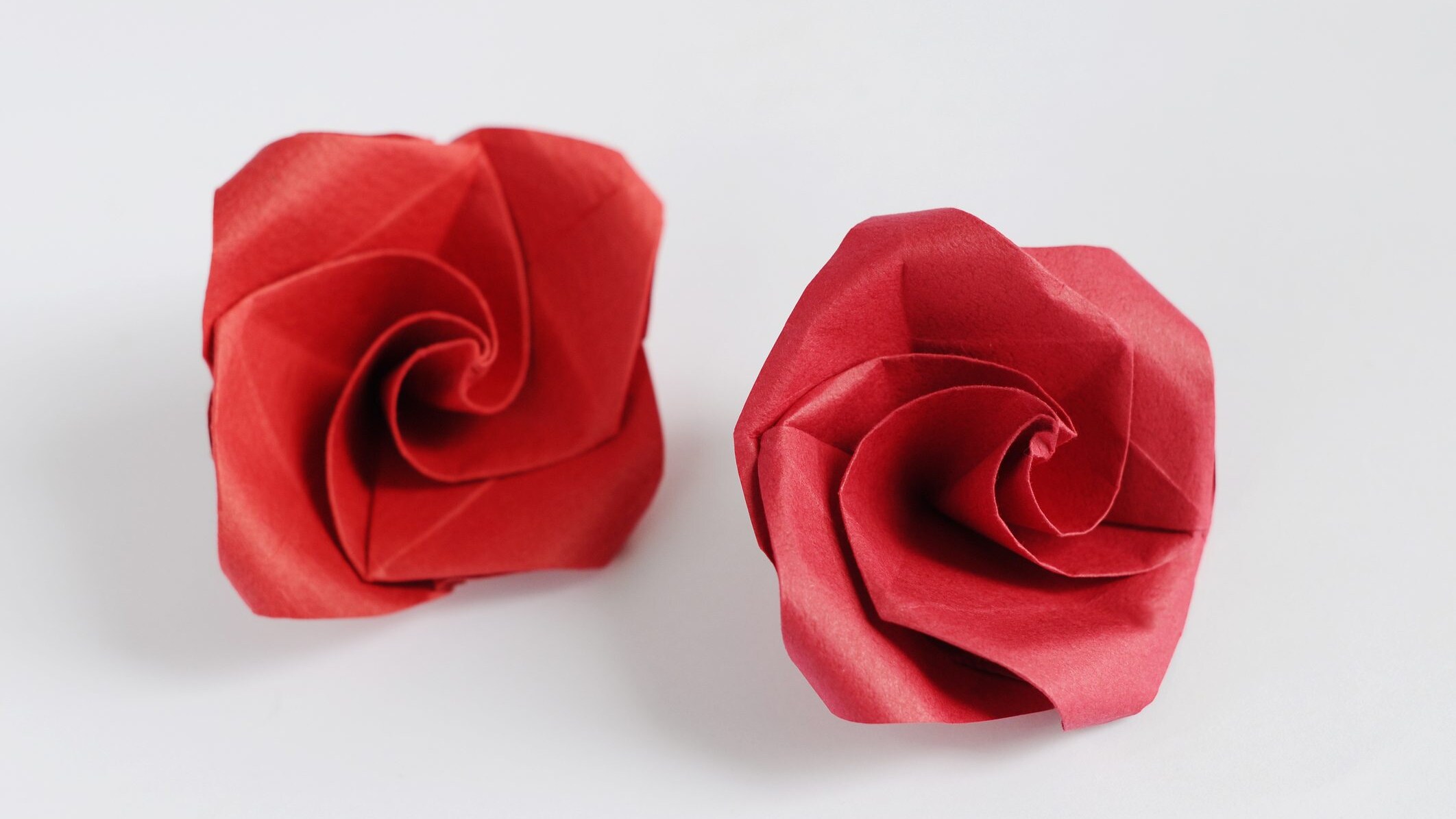 rosa origami