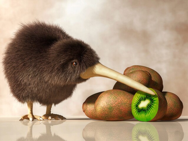 kiwi-animale