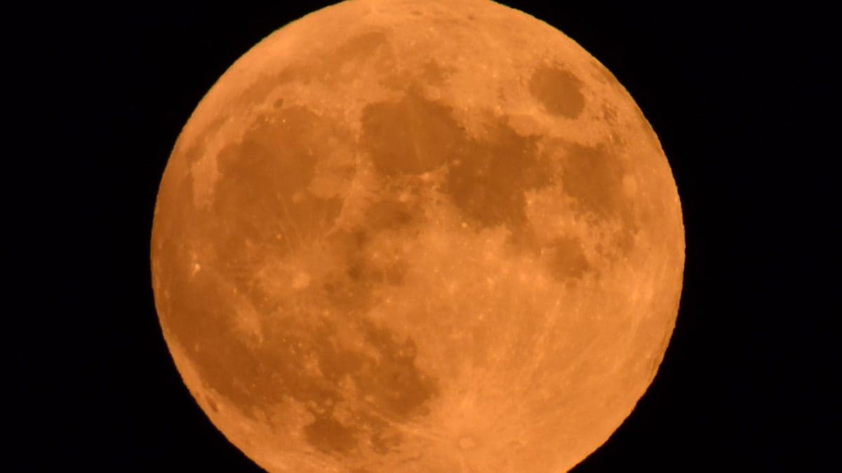luna-piena-cacciatore