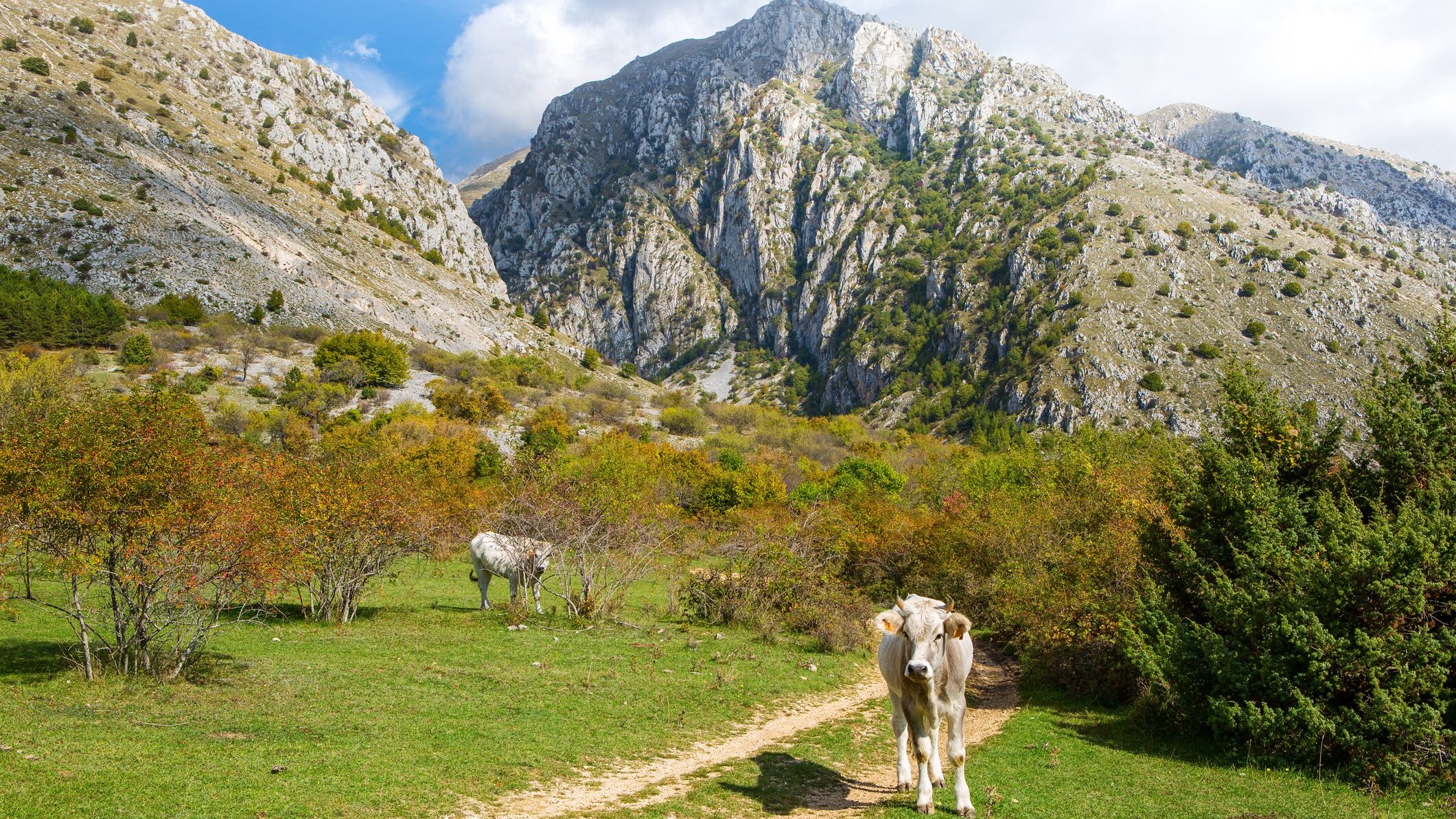 parco naturale regionale Sirente-Velino