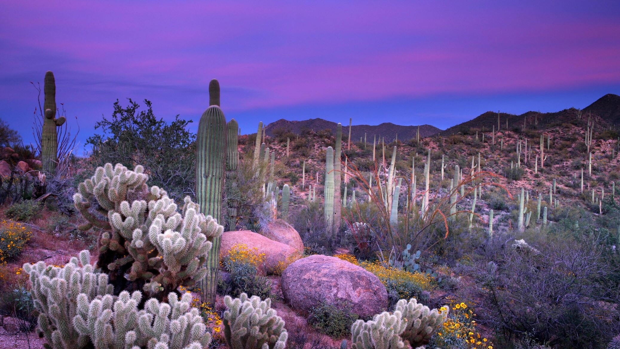 Biodiversità-ambiente-cop15-europa-italia-montreal-pichetto-fratin-green-natura